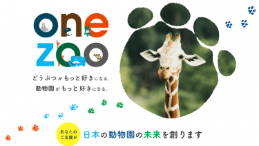 動物園を支援するアプリ One Zoo 動物たちの映像のほか 動物園を楽しむ機能が満載 スマギア