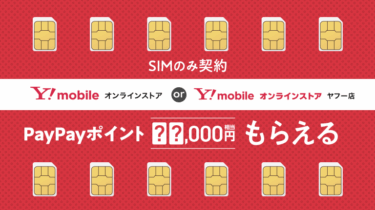 5のつく日・日曜日」はワイモバイルのSIMのみ契約がお得！PayPay