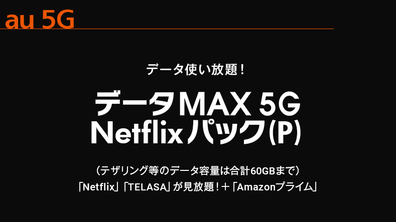 データ max プラン ストア netflix パック